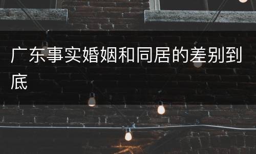 广东事实婚姻和同居的差别到底