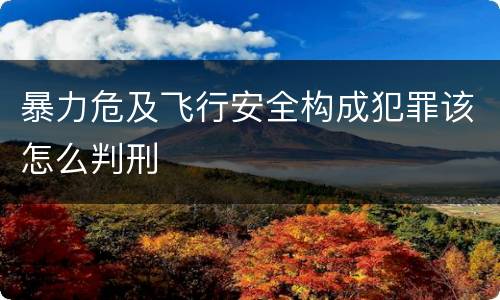 暴力危及飞行安全构成犯罪该怎么判刑