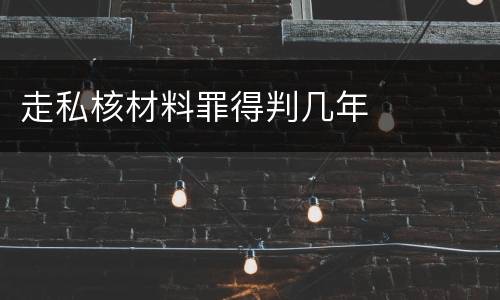走私核材料罪得判几年