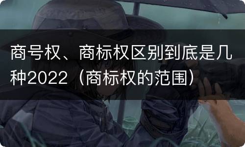 商号权、商标权区别到底是几种2022（商标权的范围）
