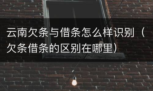 云南欠条与借条怎么样识别（欠条借条的区别在哪里）