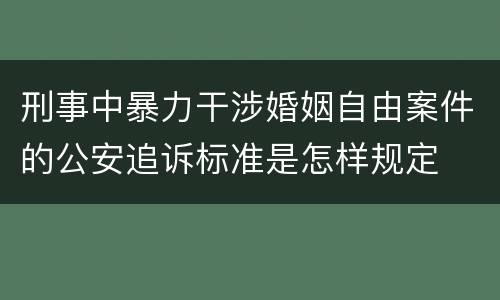 刑事中暴力干涉婚姻自由案件的公安追诉标准是怎样规定