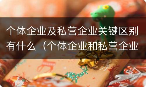 个体企业及私营企业关键区别有什么（个体企业和私营企业有什么区别和联系）