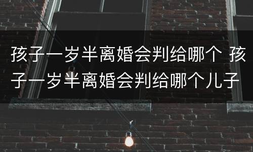 孩子一岁半离婚会判给哪个 孩子一岁半离婚会判给哪个儿子