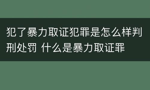 犯了暴力取证犯罪是怎么样判刑处罚 什么是暴力取证罪