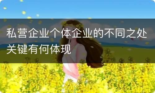 私营企业个体企业的不同之处关键有何体现