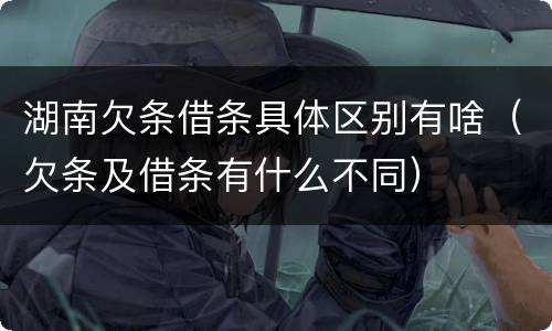 湖南欠条借条具体区别有啥（欠条及借条有什么不同）