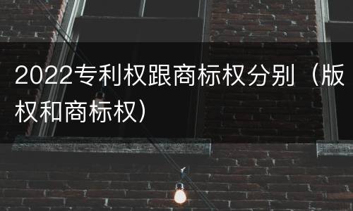 2022专利权跟商标权分别（版权和商标权）