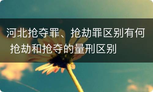 河北抢夺罪、抢劫罪区别有何 抢劫和抢夺的量刑区别