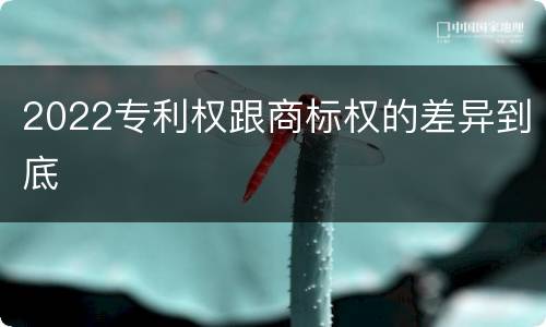 2022专利权跟商标权的差异到底