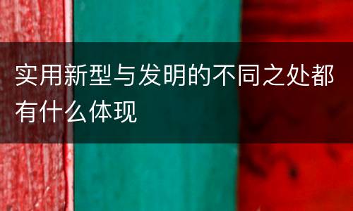 实用新型与发明的不同之处都有什么体现