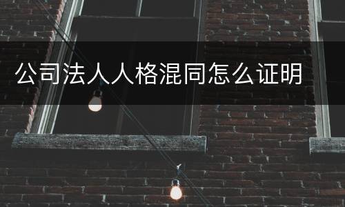 公司法人人格混同怎么证明