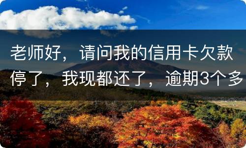 老师好，请问我的信用卡欠款停了，我现都还了，逾期3个多月，我还可以开通卡吗