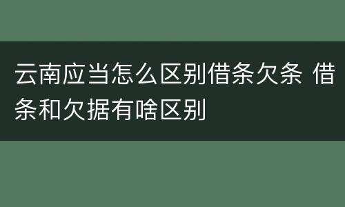 云南应当怎么区别借条欠条 借条和欠据有啥区别