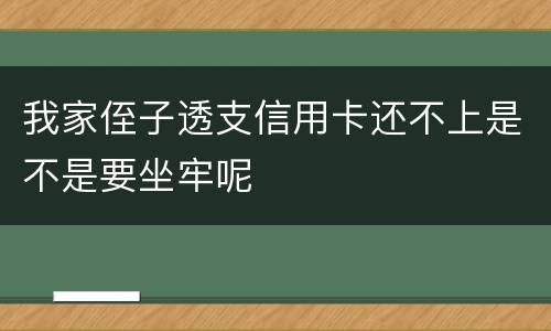 我家侄子透支信用卡还不上是不是要坐牢呢