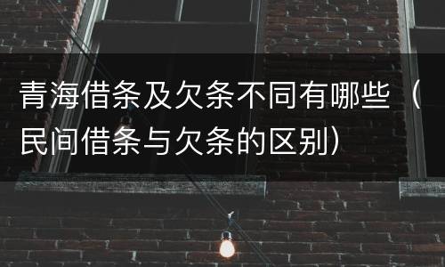 青海借条及欠条不同有哪些（民间借条与欠条的区别）