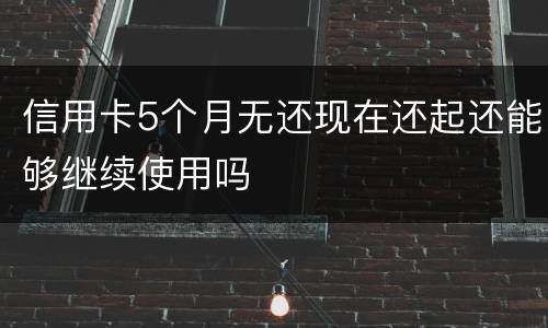 信用卡5个月无还现在还起还能够继续使用吗
