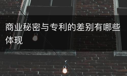 商业秘密与专利的差别有哪些体现