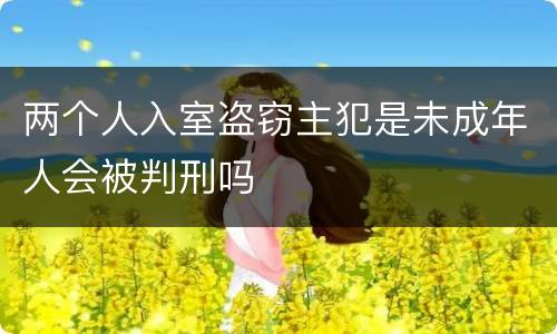 两个人入室盗窃主犯是未成年人会被判刑吗