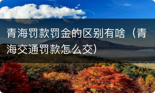 青海罚款罚金的区别有啥（青海交通罚款怎么交）