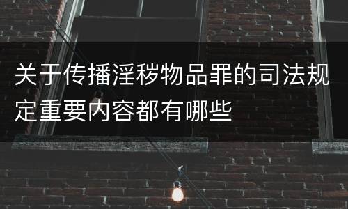 关于传播淫秽物品罪的司法规定重要内容都有哪些