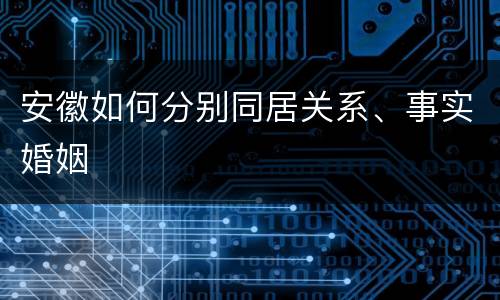 安徽如何分别同居关系、事实婚姻