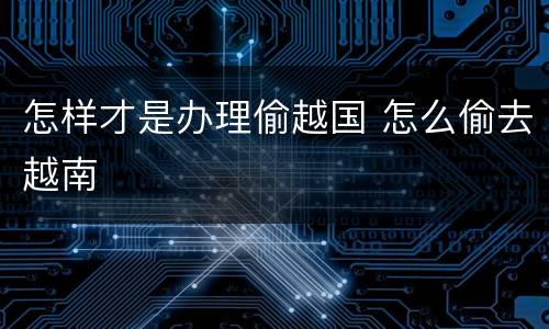 怎样才是办理偷越国 怎么偷去越南