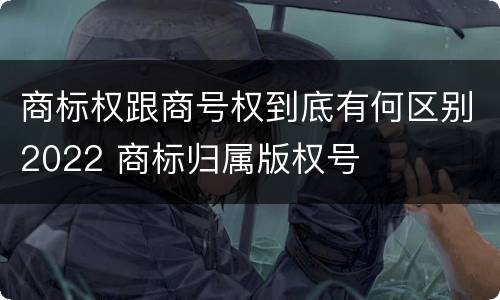 商标权跟商号权到底有何区别2022 商标归属版权号
