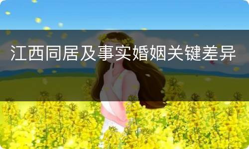 江西同居及事实婚姻关键差异
