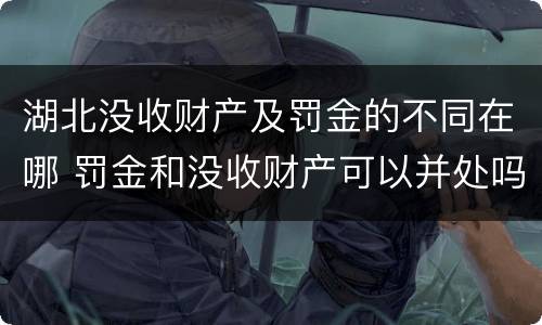 湖北没收财产及罚金的不同在哪 罚金和没收财产可以并处吗