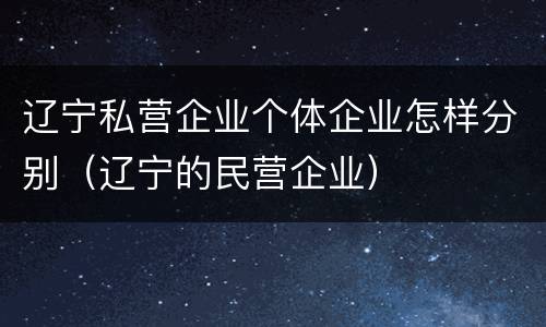 辽宁私营企业个体企业怎样分别（辽宁的民营企业）