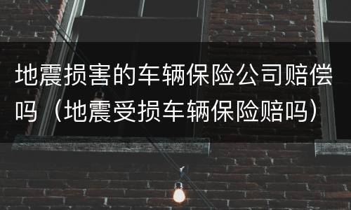 地震损害的车辆保险公司赔偿吗（地震受损车辆保险赔吗）