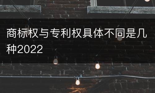 商标权与专利权具体不同是几种2022