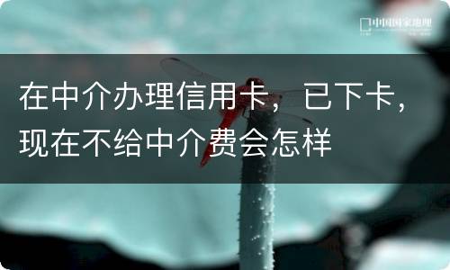 在中介办理信用卡，已下卡，现在不给中介费会怎样