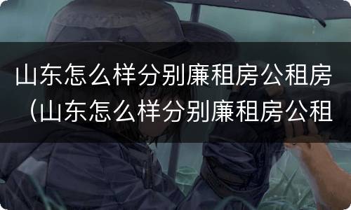 山东怎么样分别廉租房公租房（山东怎么样分别廉租房公租房和私租房）