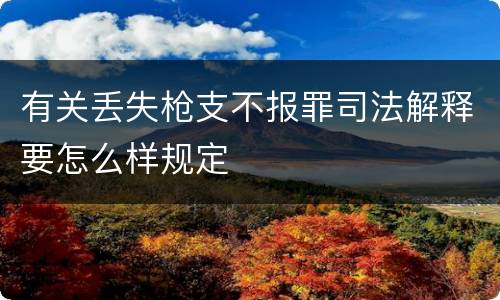 有关丢失枪支不报罪司法解释要怎么样规定