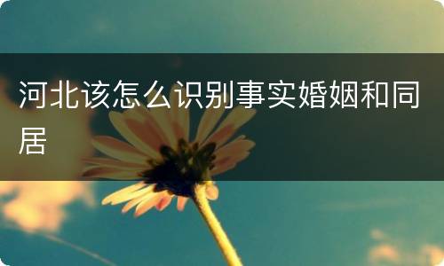河北该怎么识别事实婚姻和同居
