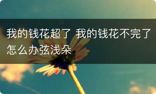 我的钱花超了 我的钱花不完了怎么办弦浅朵