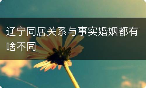 辽宁同居关系与事实婚姻都有啥不同