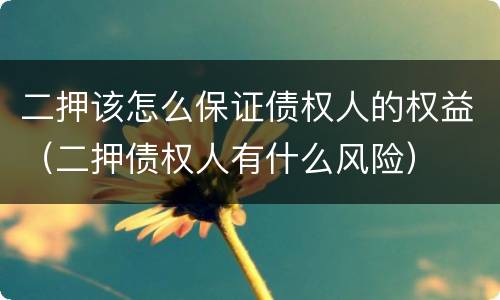 二押该怎么保证债权人的权益（二押债权人有什么风险）