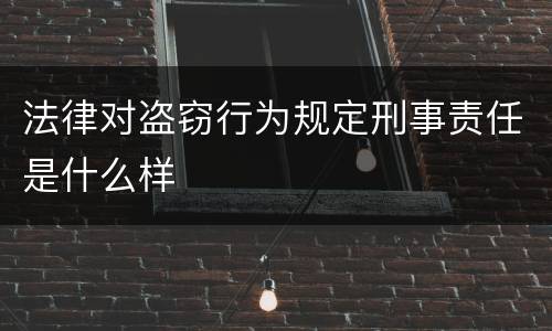 法律对盗窃行为规定刑事责任是什么样