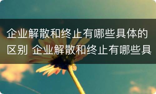 企业解散和终止有哪些具体的区别 企业解散和终止有哪些具体的区别呢