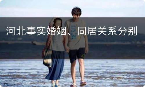 河北事实婚姻、同居关系分别
