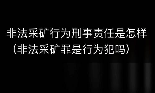 非法采矿行为刑事责任是怎样（非法采矿罪是行为犯吗）