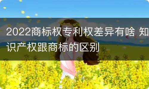 2022商标权专利权差异有啥 知识产权跟商标的区别