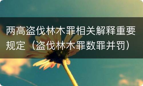 两高盗伐林木罪相关解释重要规定（盗伐林木罪数罪并罚）