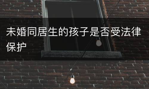 未婚同居生的孩子是否受法律保护
