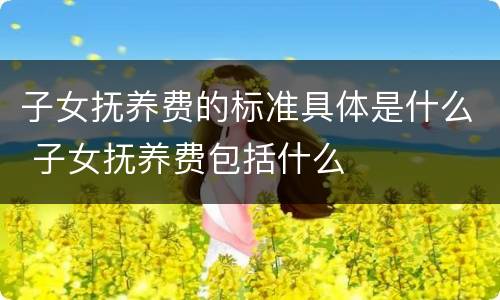 子女抚养费的标准具体是什么 子女抚养费包括什么