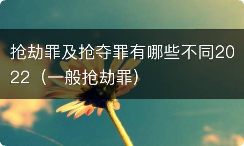 抢劫罪及抢夺罪有哪些不同2022（一般抢劫罪）