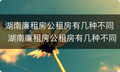 湖南廉租房公租房有几种不同 湖南廉租房公租房有几种不同类型